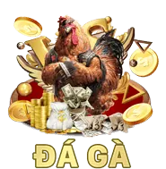 Đăng nhập và bắt đầu chơi