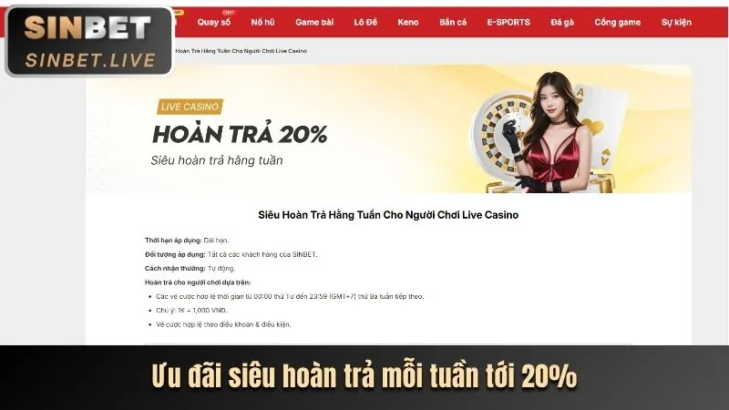 Hoàn Trả Hàng Tuần AA88